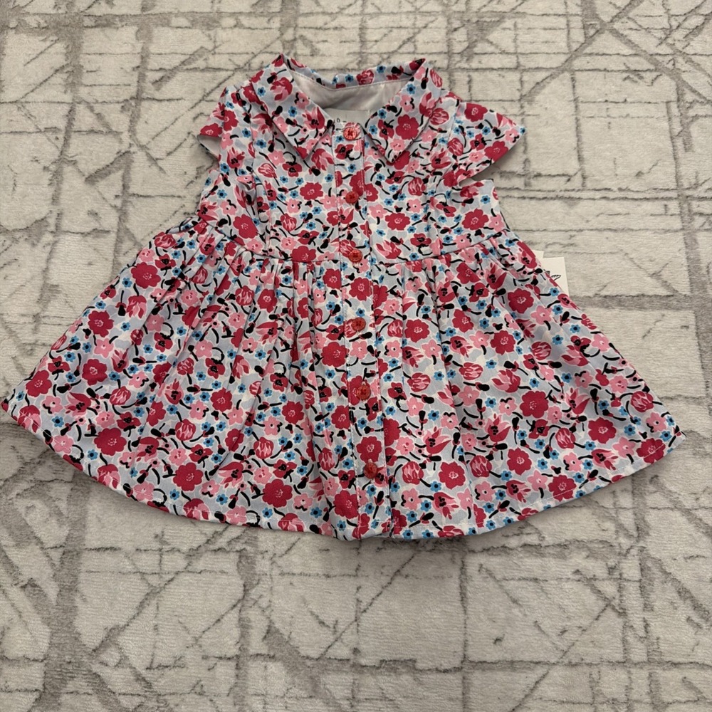 Pippa & Julie Baby Girls Cap Sleeve Floral A-Line Fanciful Dress Size 6 Months